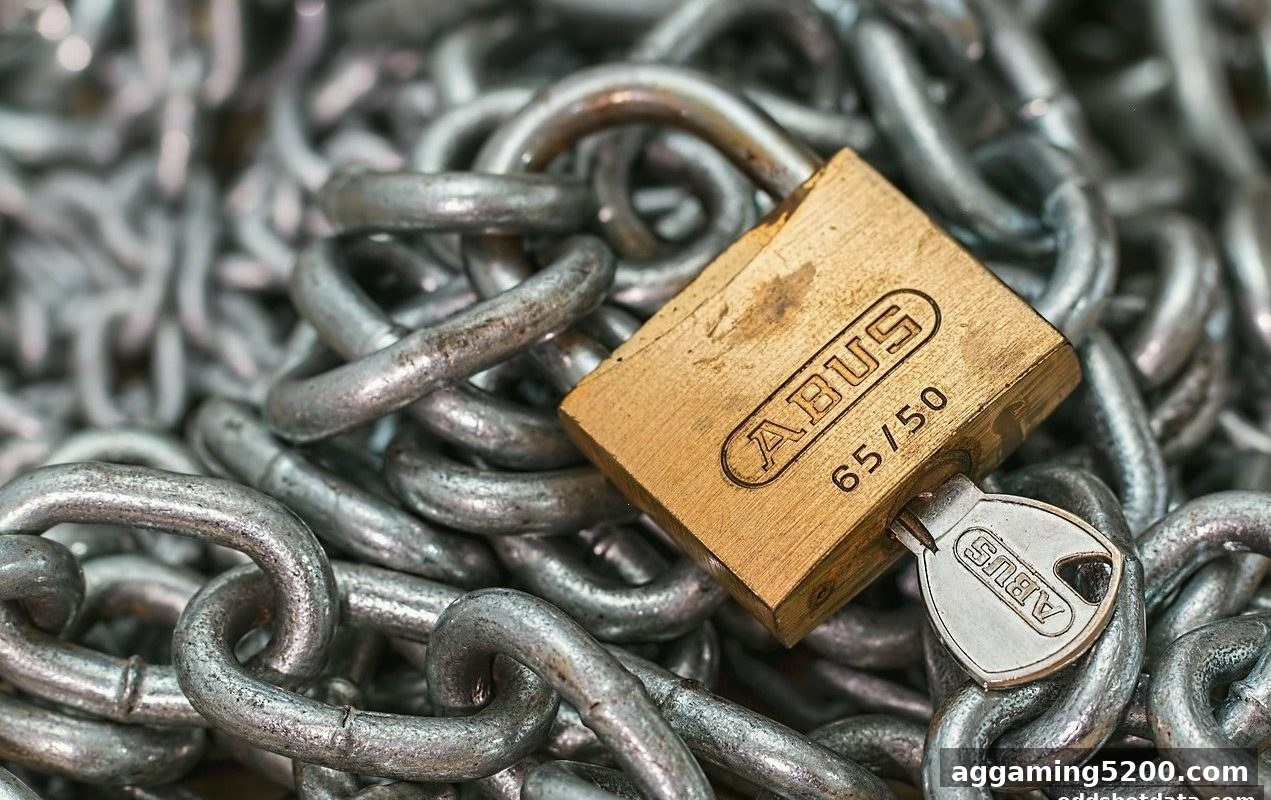 马耳他牌照审核标准:如何保障体育投注赔率的公平与透明?