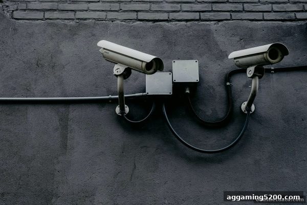 别让“体育投注赔率”蒙蔽双眼：如何精准揪出虚假娱乐平台